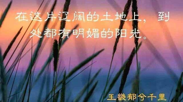 宁夏自治区中卫市沙坡头区什么样,宁夏银川沙坡头区