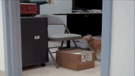 软骨素对全身疼痛有用吗,软骨素对膝关节疼痛有什么好处