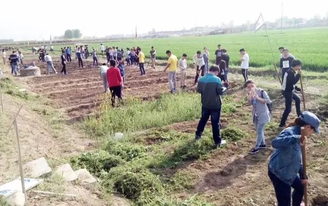 鄠邑区开心农场,西安开心农场果园