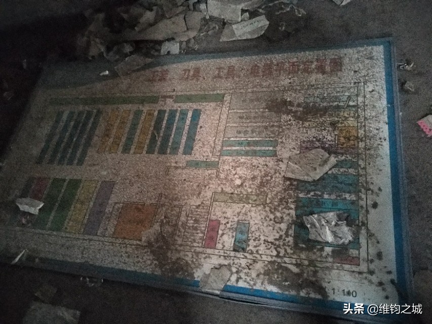 聊城人啊，请再看她一眼！