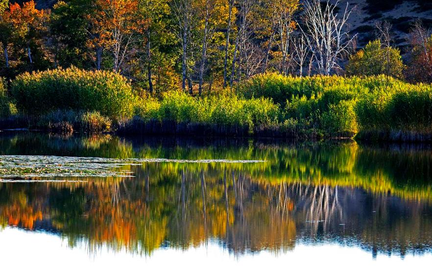 初秋的诗词经典赏析,初秋诗词大全100首