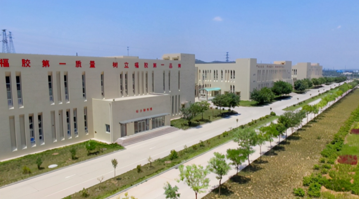 福牌阿胶董事长杨福安是哪里人,福胶集团老总杨福安