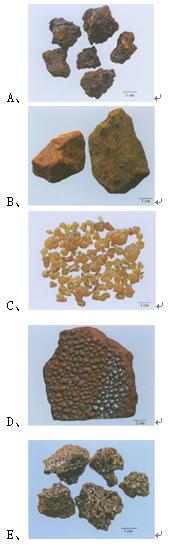 药学执业药师历年真题讲解,执业药师中药学历年真题资源
