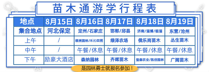 农村这种野草功效多,小时候常见可以吃的野草