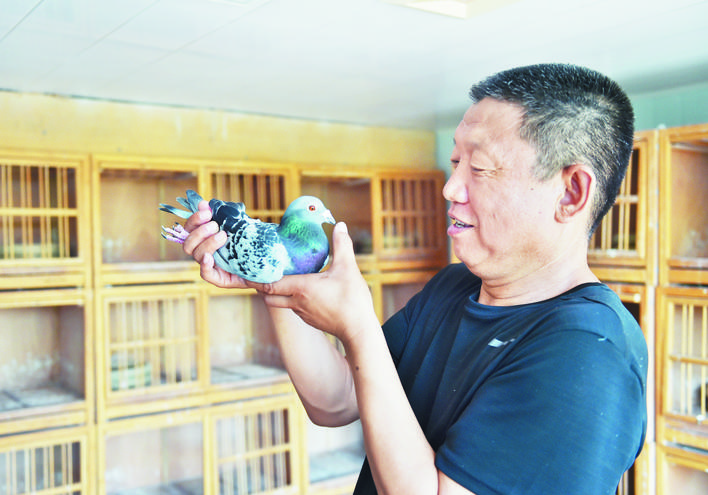 忻州高手：“鸽痴”周俏龙