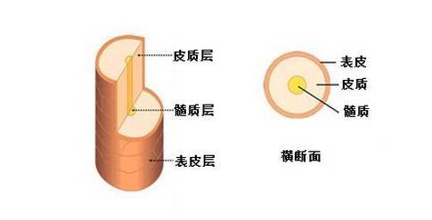 头发粗又硬怎么变柔顺,怎样让头发自然弯曲