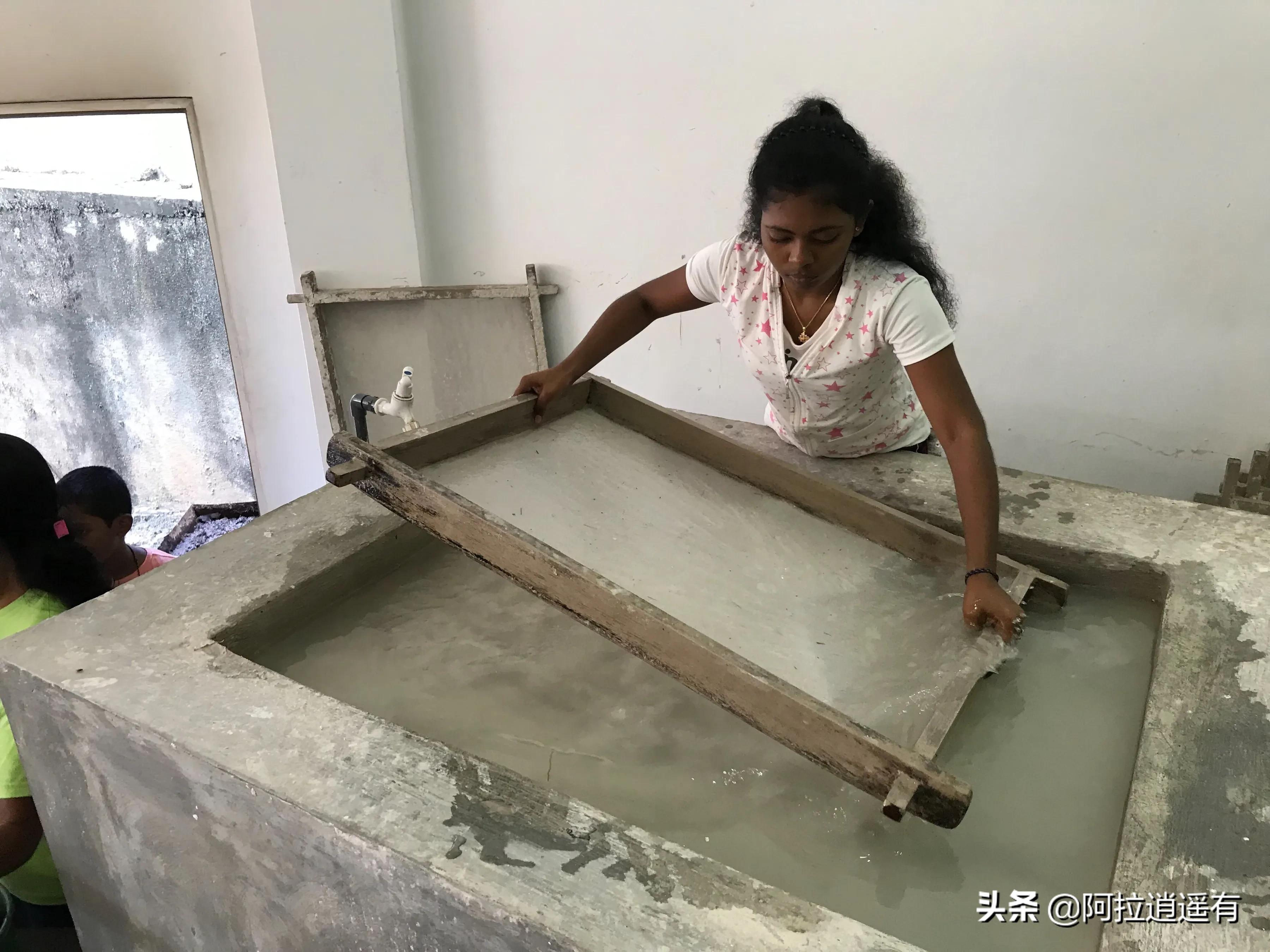 斯里兰卡大象粪便做纸,斯里兰卡大象粪便纸