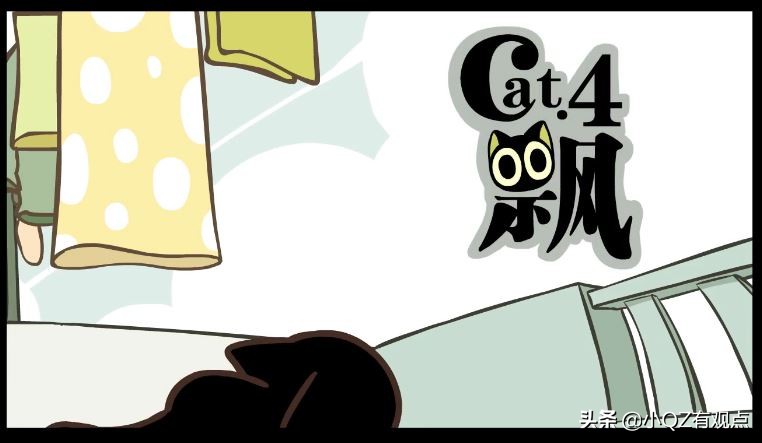 《罗小黑战记》：罗小黑是黑猫？明明是黑马！哪吒还去打了酱油呢