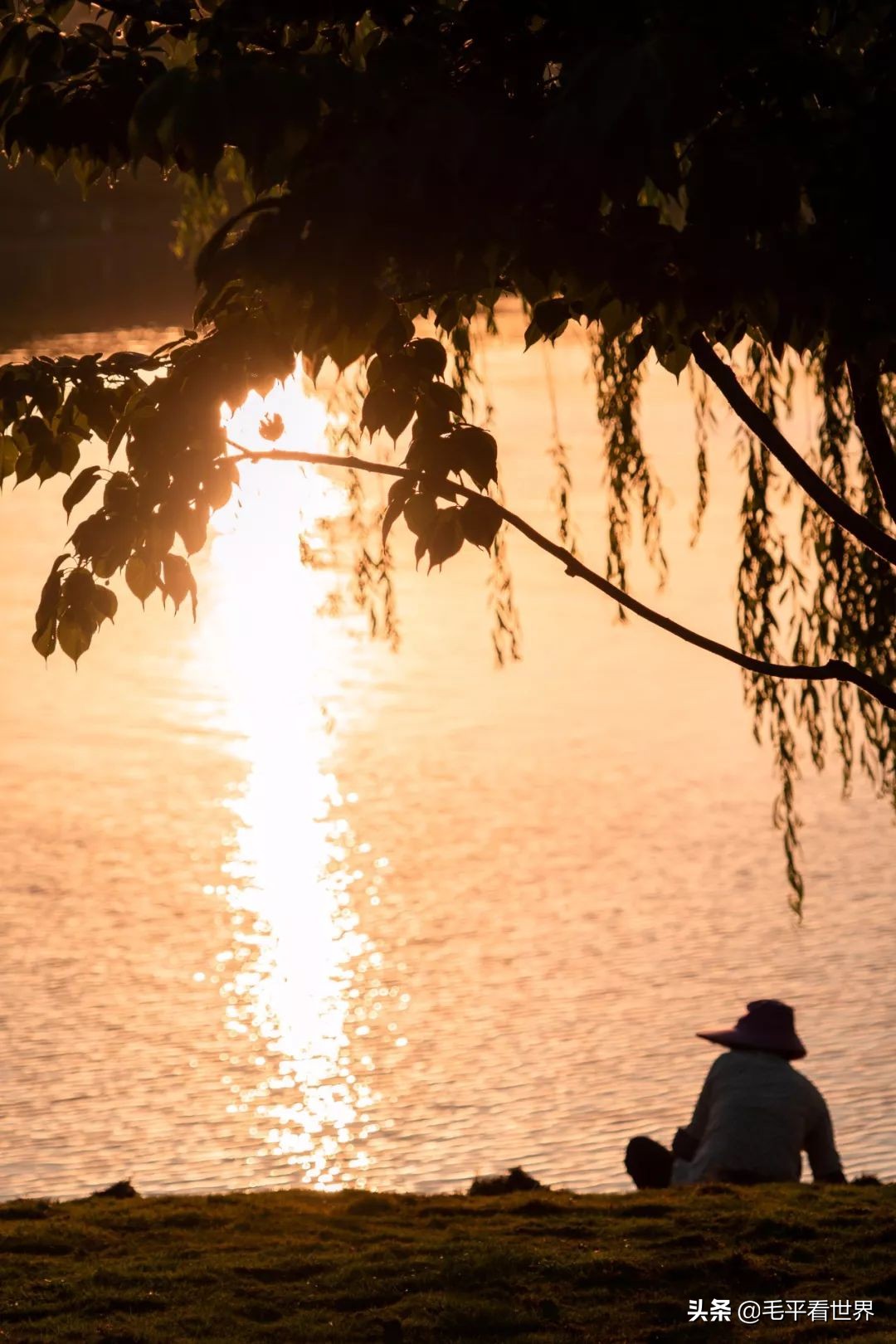 你眼中的南京是什么样子,你眼中的南京