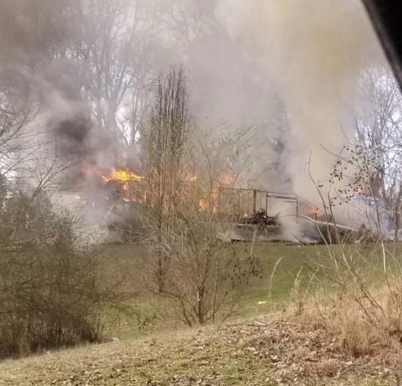 美国鹦鹉撕心裂肺大喊,美国火灾前叫醒主人