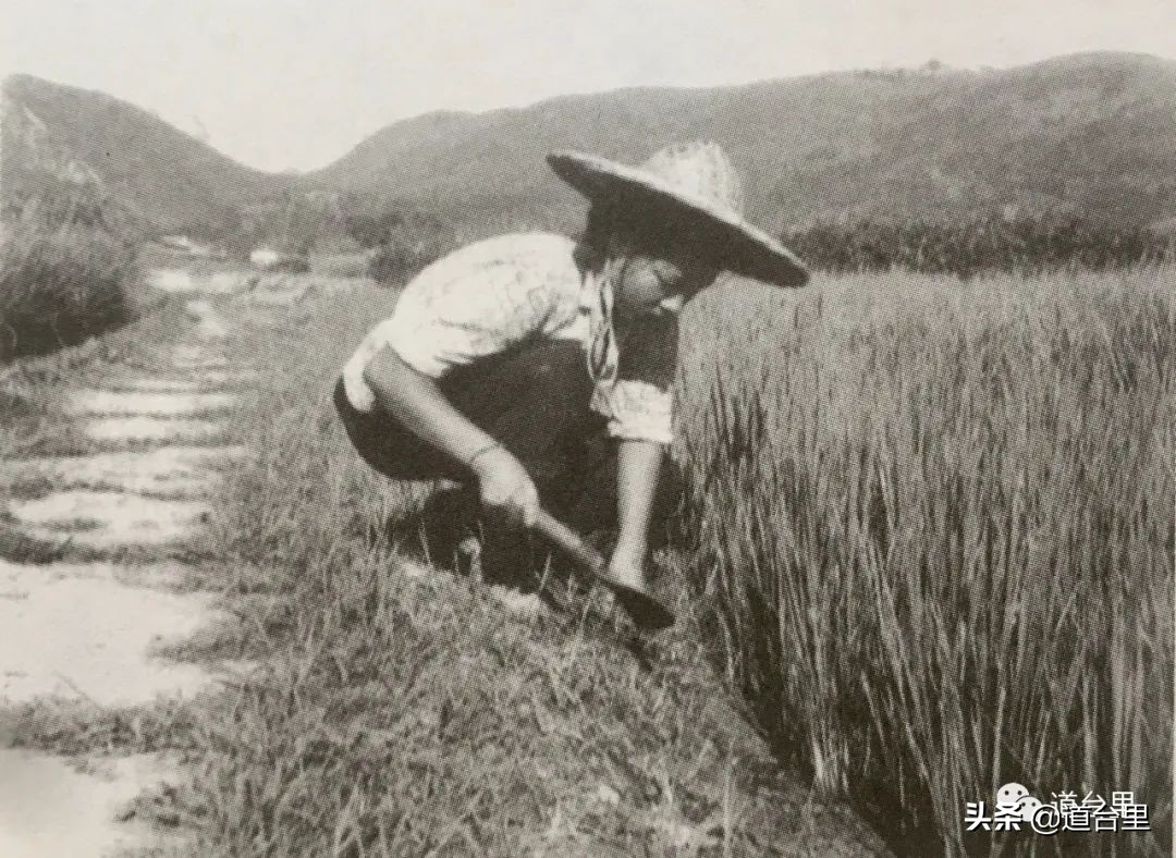 洪家楼老照片,洪家楼旧照