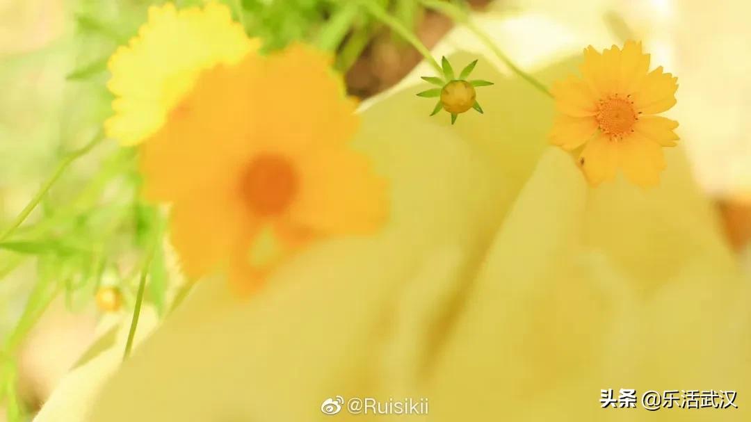 奶茶咖啡联名,奶茶咖啡结合