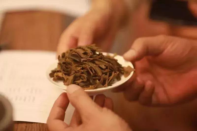 老班章古树熟茶品鉴会,熟茶班章古树茶