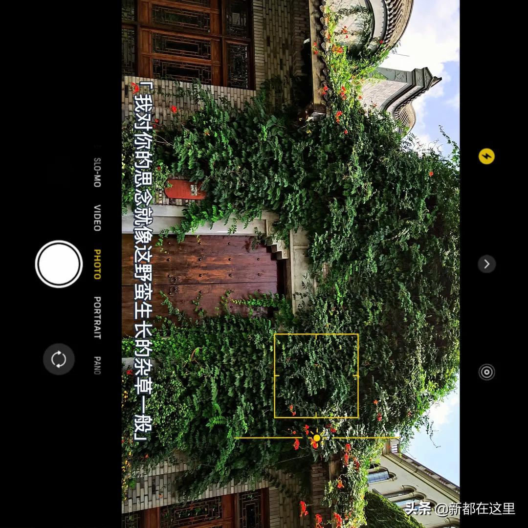 16:9的视频镜头,16:9的镜头画面