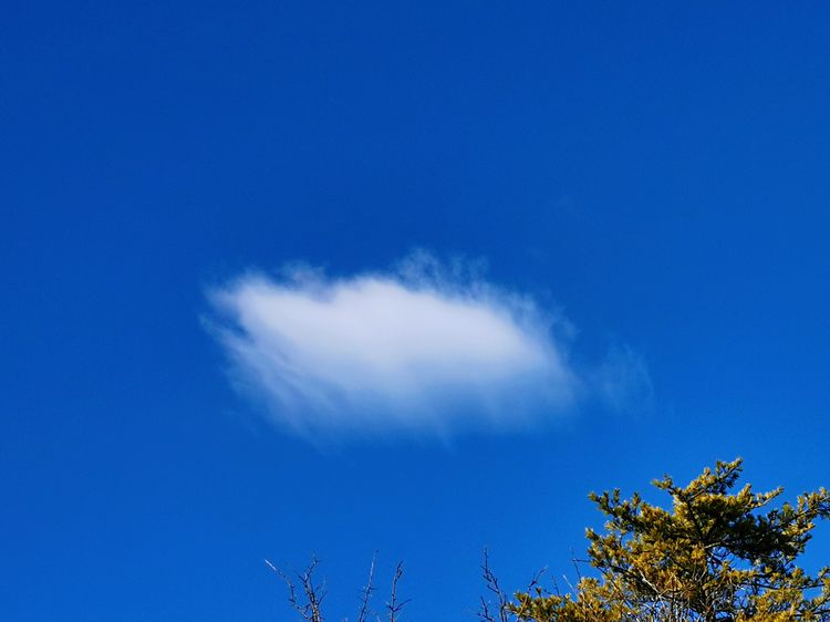 20201101惊悚之行~首阳山大坪梁单日横穿+原返