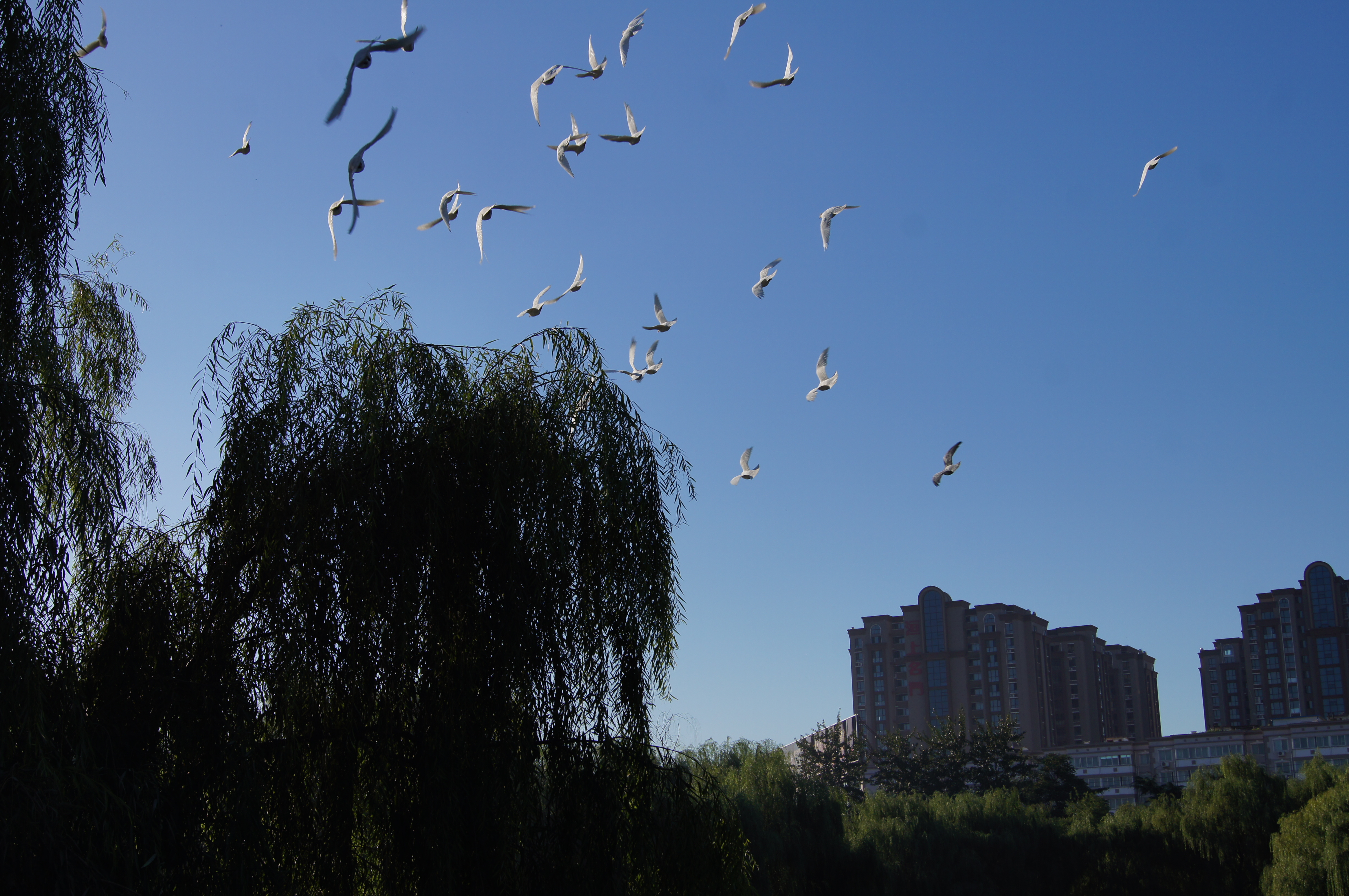 摄影作品创意人像摄影,摄影创作灵感图片