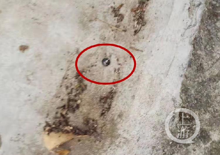 七旬老侄骚扰五旬婶婶丈夫持棍击伤老侄被刑拘