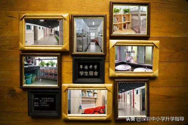 深圳高中住宿条件一览,深圳高中哪所的食宿条件好