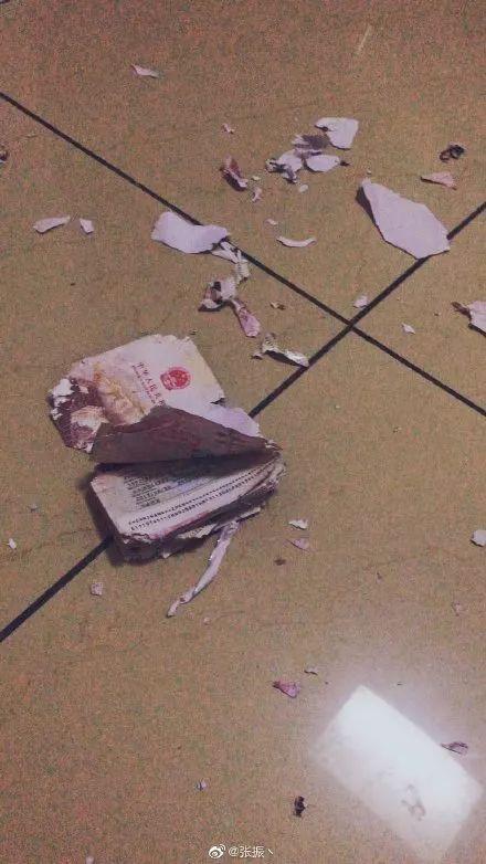 养宠物的本质是让人有优越感,每天养一种宠物的感觉是什么感觉