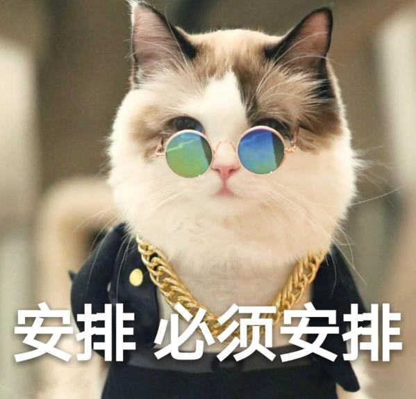 日本的马桶有必要买吗,丢脸丢到自己家