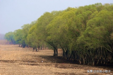 文安史各庄历史,文安洼复原图
