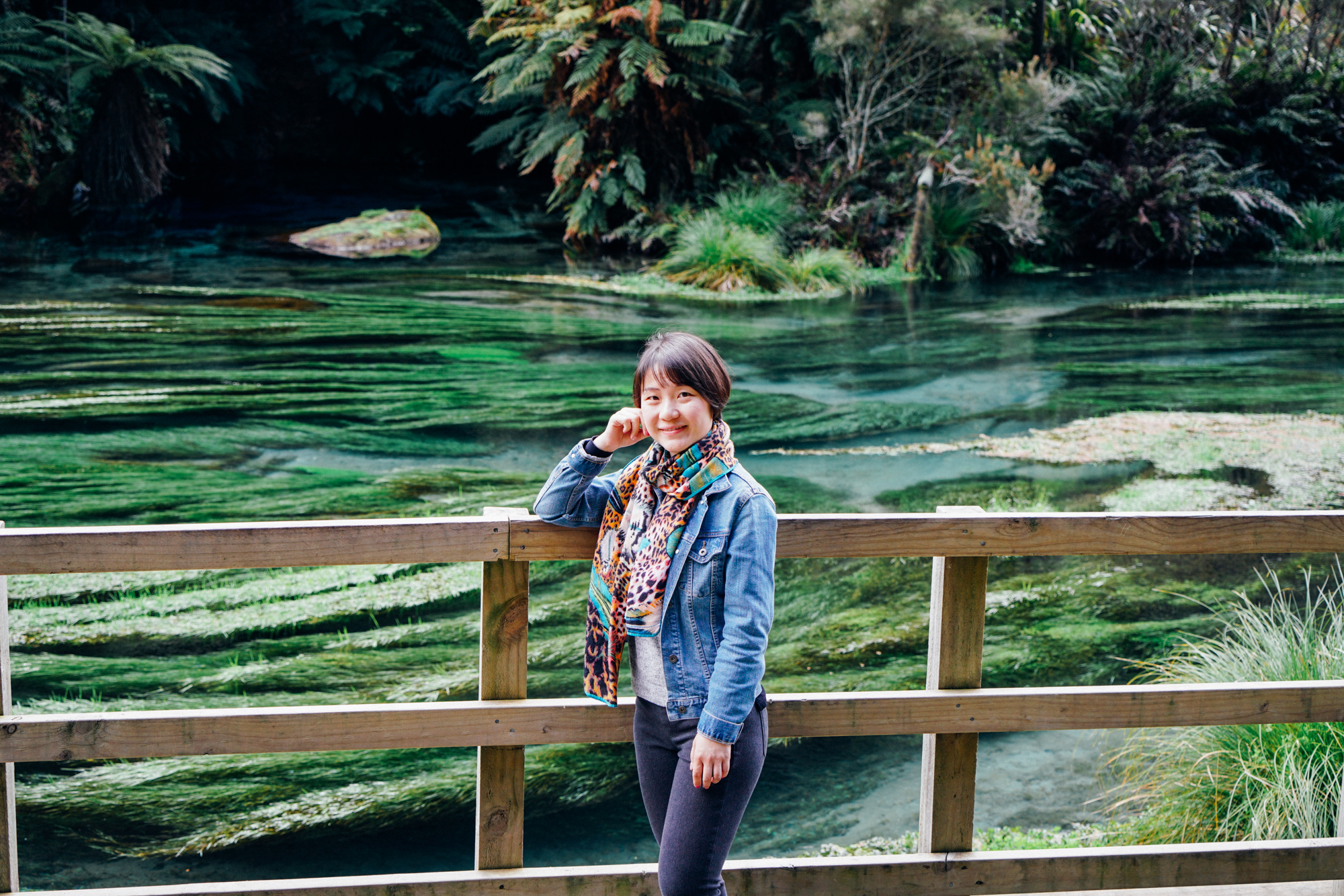 为什么说新西兰是纯净的,新西兰北岛有值得去的地方吗