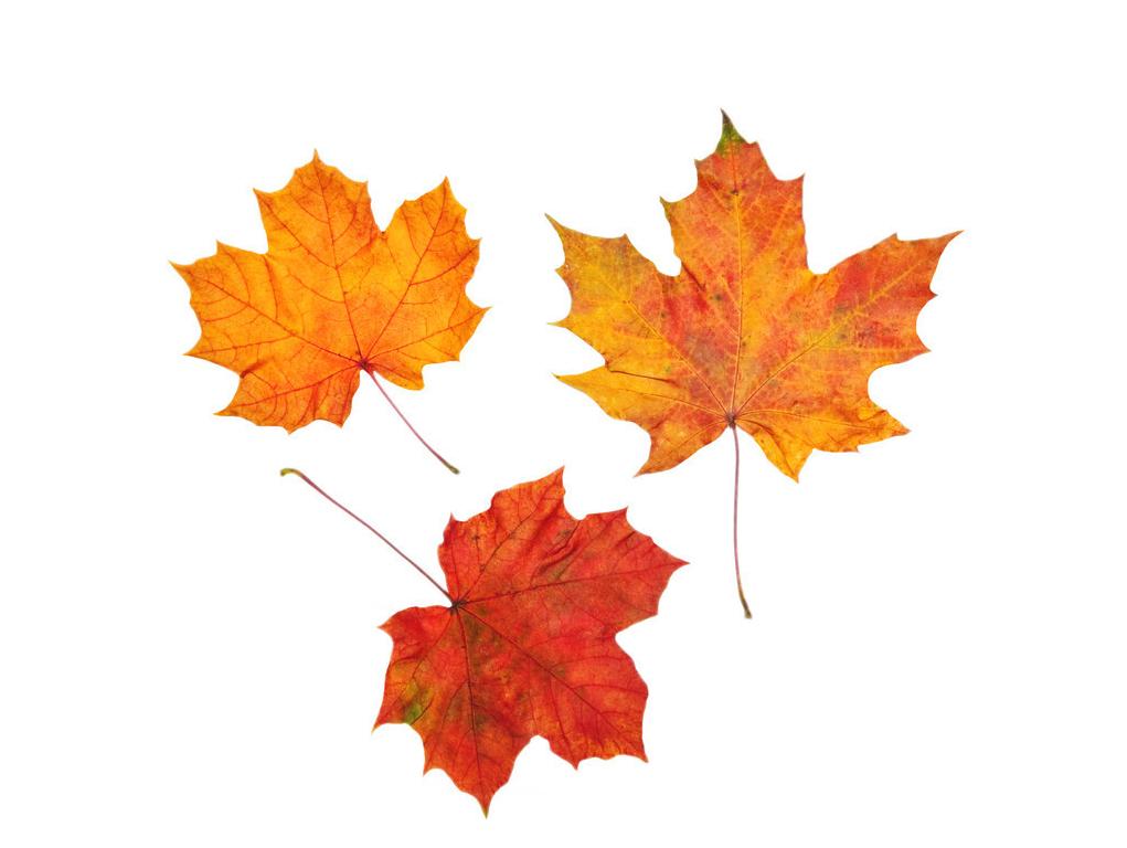 咽炎咳嗽老是不好有什么好方法,咽炎久咳不愈怎么调理