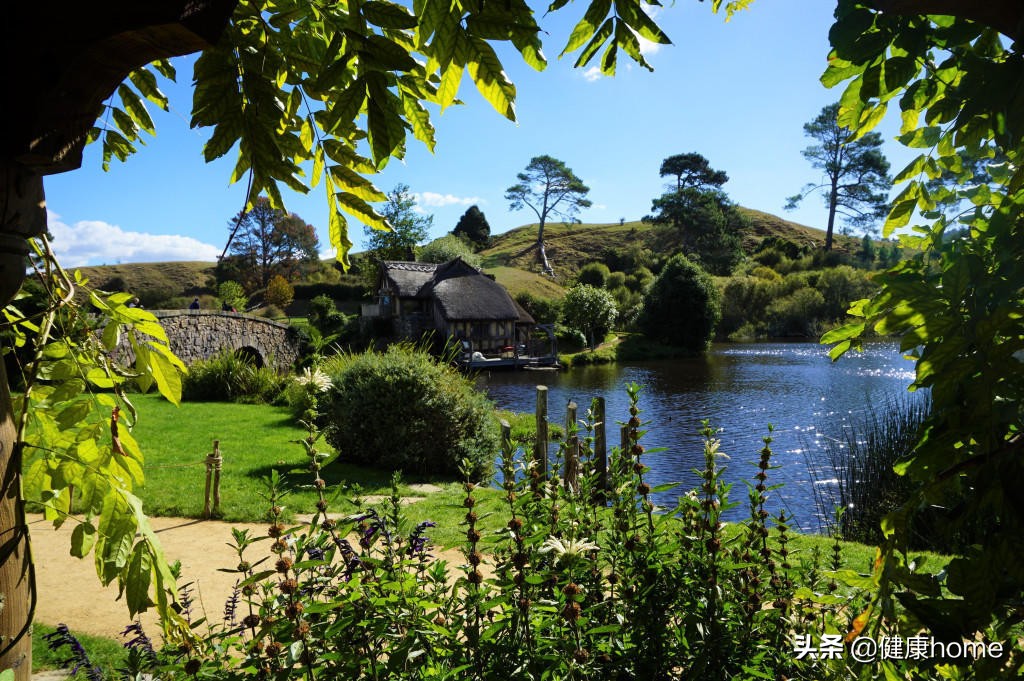 新西兰霍比特人村攻略,新西兰霍比特蓝泉一日游