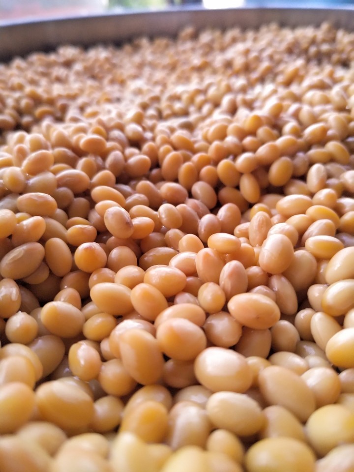 黄豆怎么成酱油,黄豆应该怎么弄才能变成豆芽