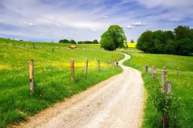 如何拍出有立体感的照片,照片怎么设计更有层次感