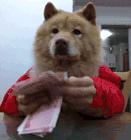 柳州市平均工资公布,柳州平均工资公布时间