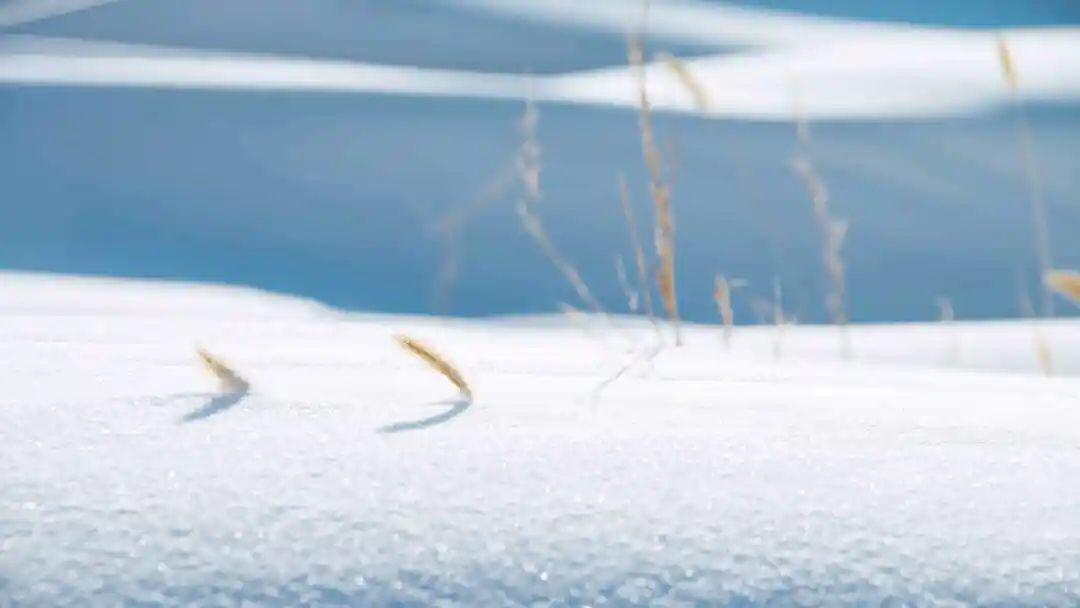 鬼谷子大智慧装傻,鬼谷子人生低谷时三句话