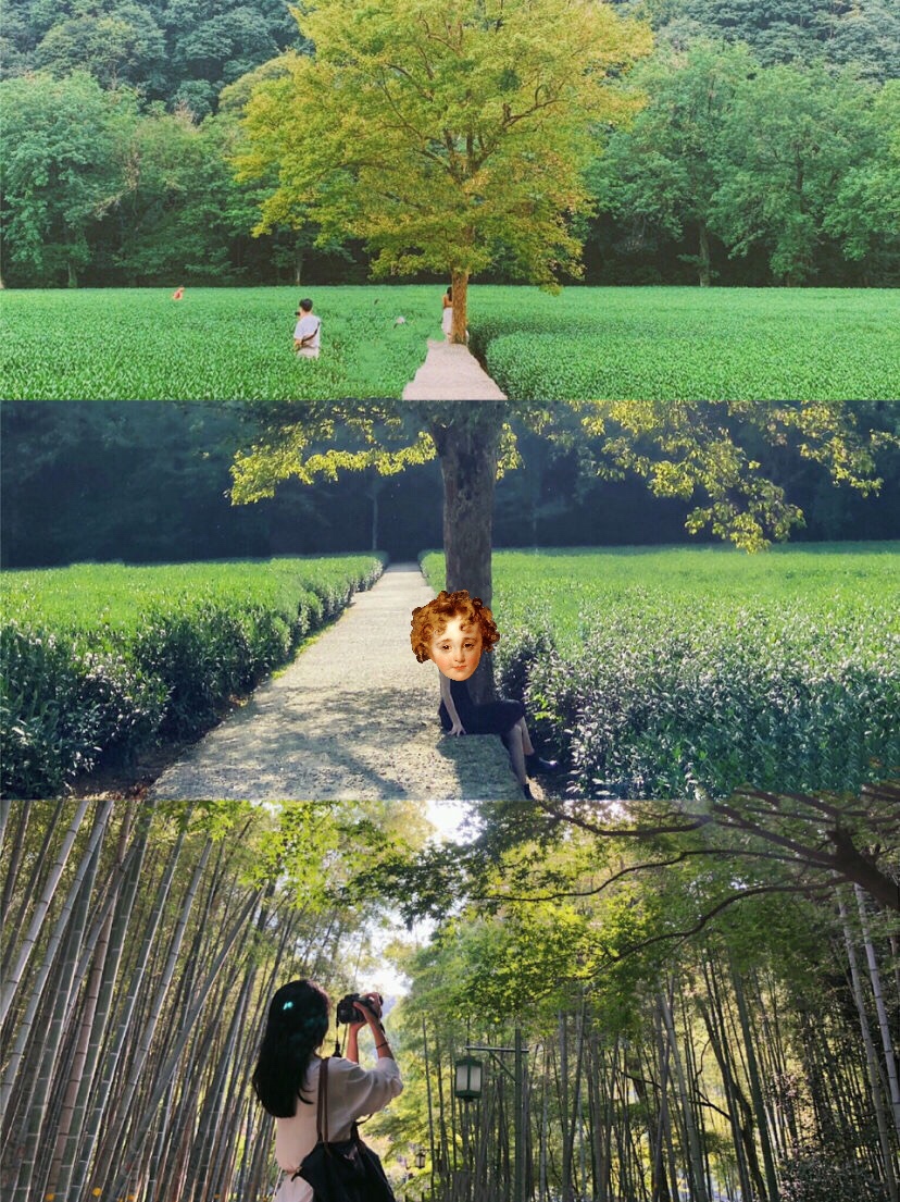杭州最美景点拍照攻略视频,杭州十大景点美图