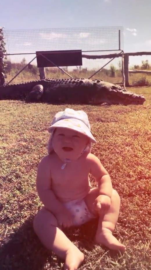 澳洲狂野早教：2岁娃单挑巨蟒，爸爸在一旁指点加油，这？