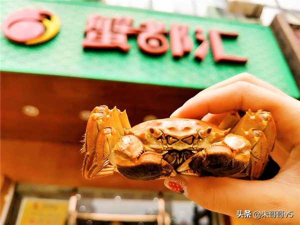 蟹都汇阳澄湖大闸蟹套餐,蟹都汇的大闸蟹不一般
