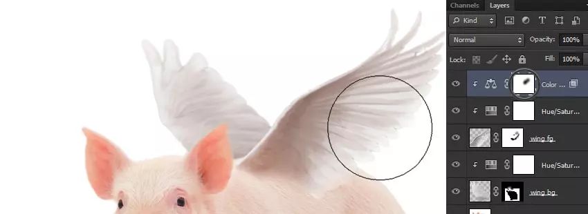 ps花仙子合成教程,ps合成狗狗教程