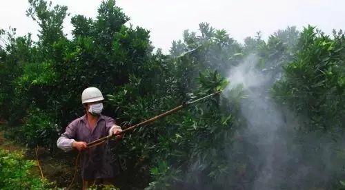 误食敌敌畏能救活吗,小半瓶敌敌畏能救活吗