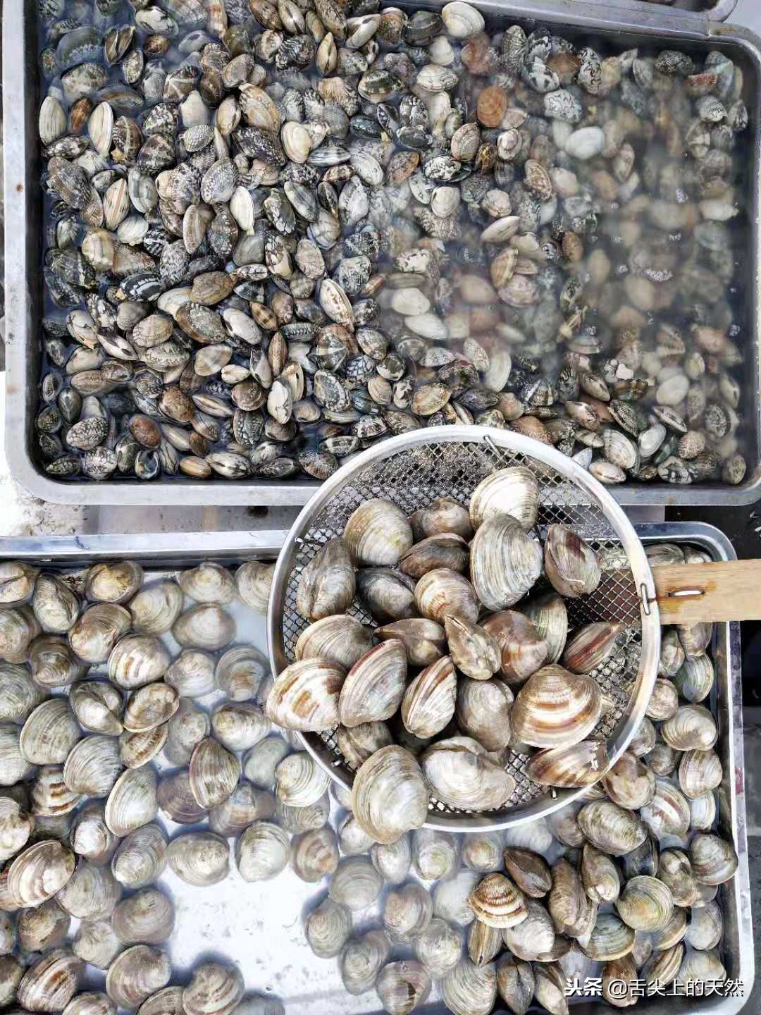 海鲜批发市场打工的都干啥活,农村小伙在野外做海鲜生意