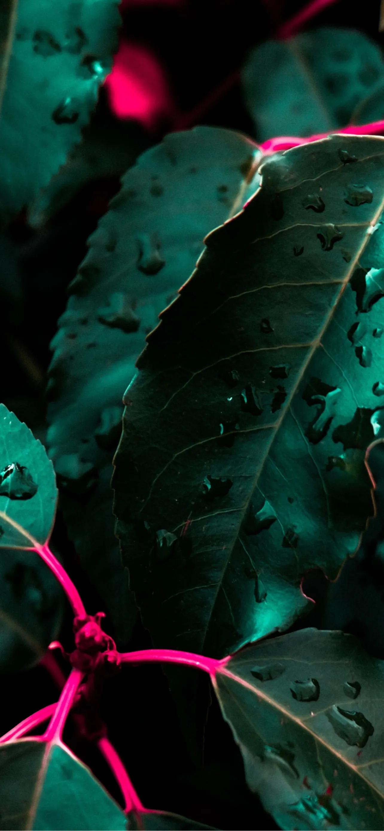 深色风景壁纸全面屏,深色壁纸手机超清100张图片