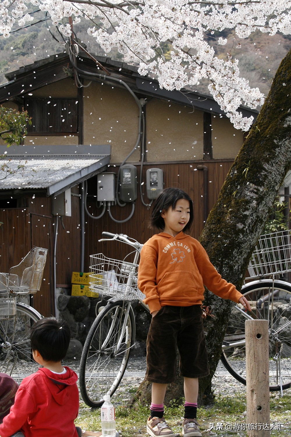 待到山花烂漫时完整版,待到樱花烂漫时的视频