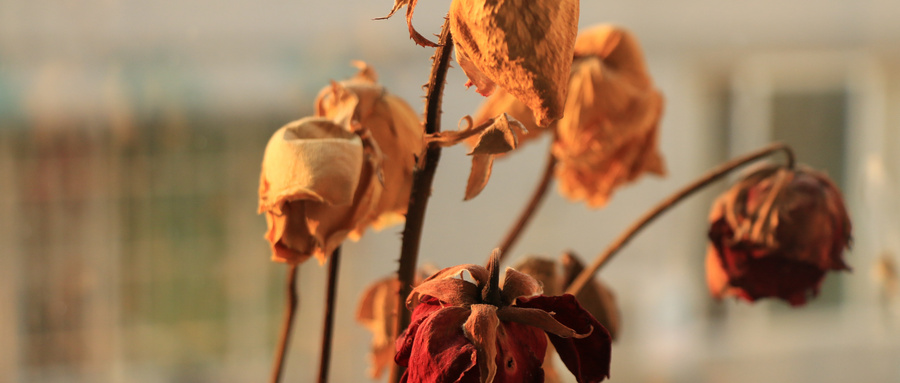 古代文人笔下的春,古人眼中的春天是这样的