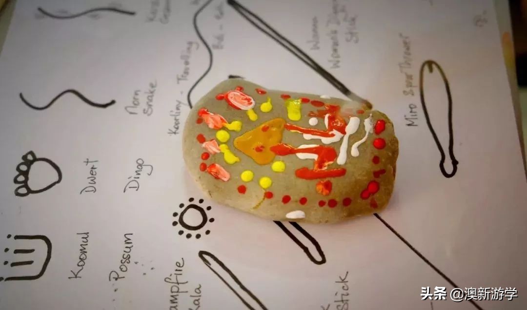 澳洲游学满载而归,澳洲亲子游学日程安排