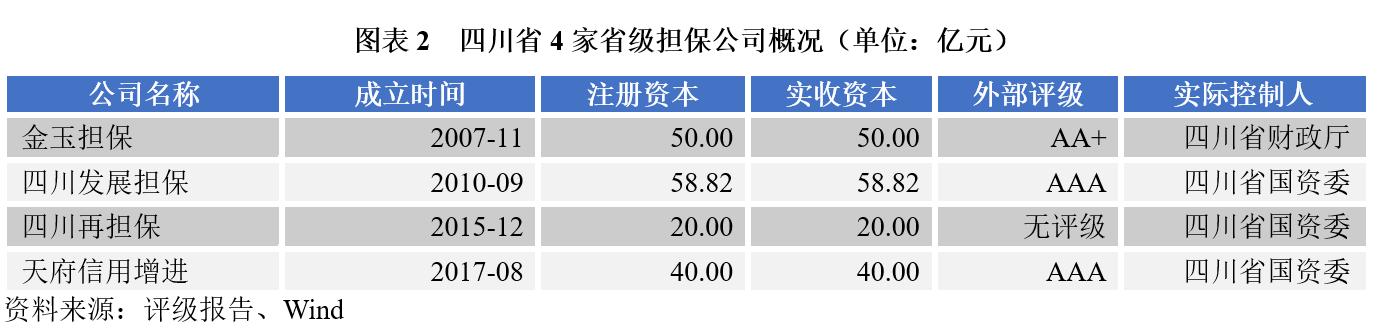 担保公司运营情况汇报材料,担保公司担保项目案例