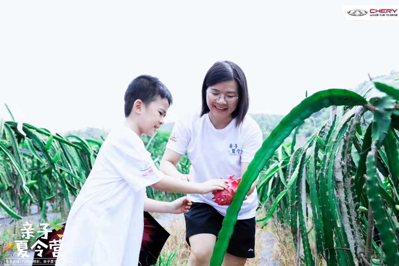 奇瑞车友会自驾游,奇瑞车友会第二季