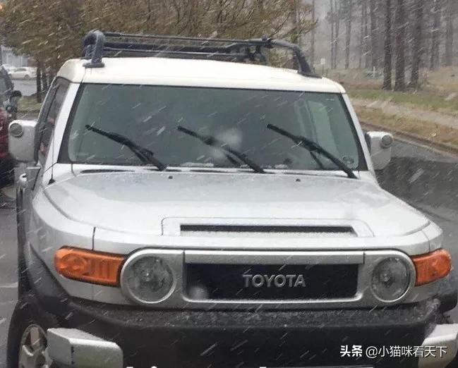 世界之大无奇不有各种各样的事情,无意中看到世界之大无奇不有