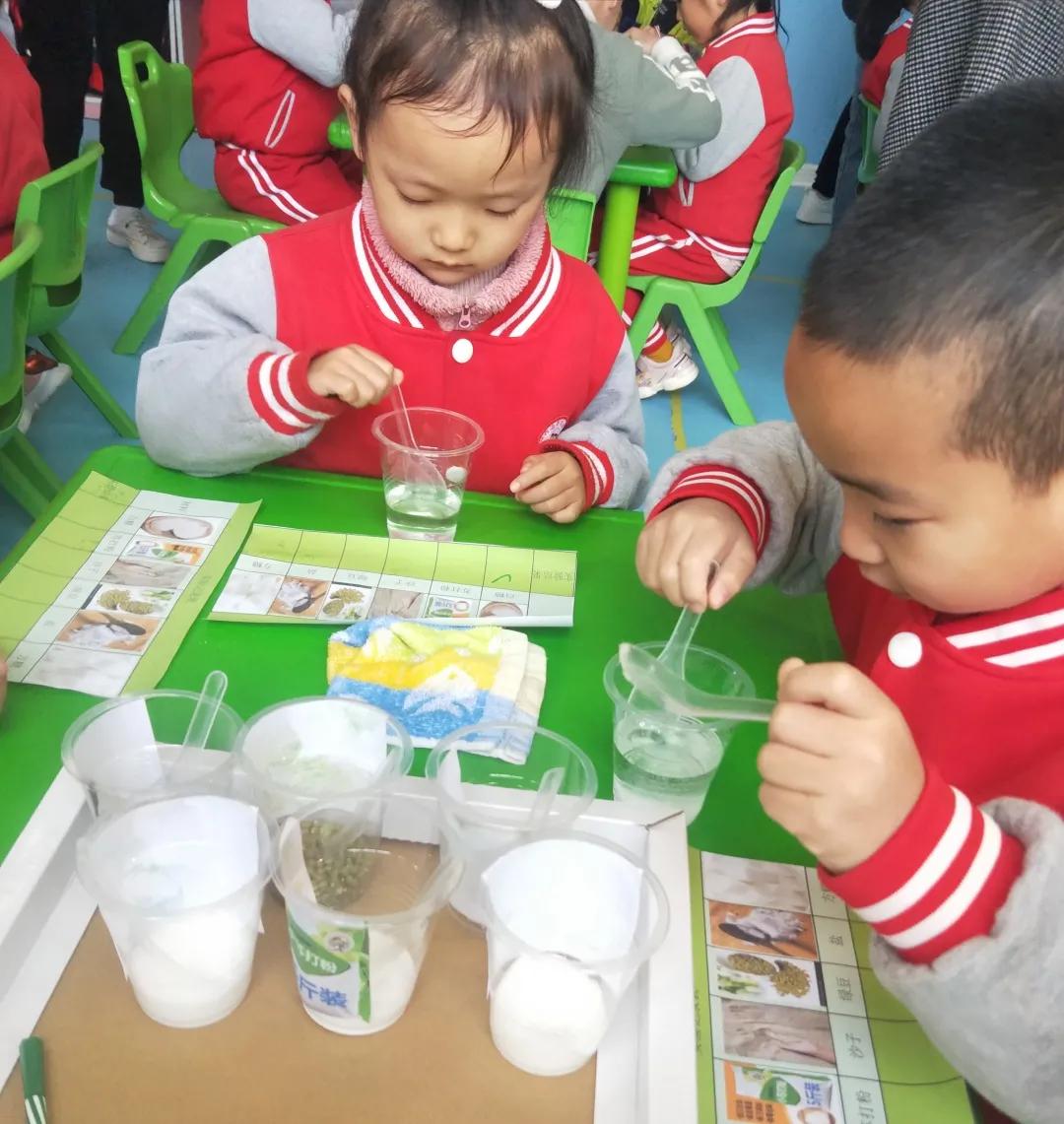 科学知识｜全园科学公开课，围观让孩子好奇心爆棚的有趣实验课程