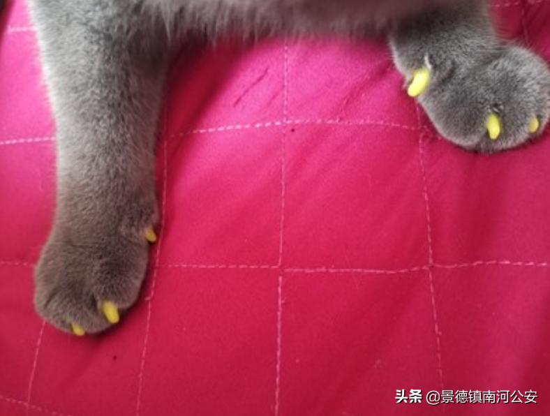 “割声带、截肢、电击,当爱变成我的噩梦”