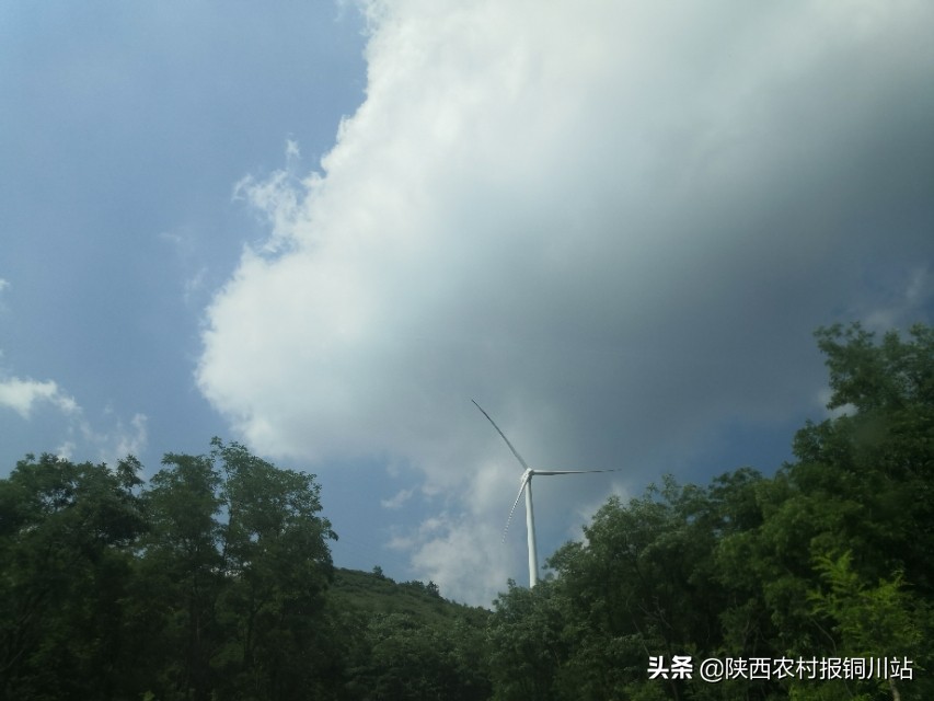 陈百强一生一共唱了多少首歌,朱百强个人资料