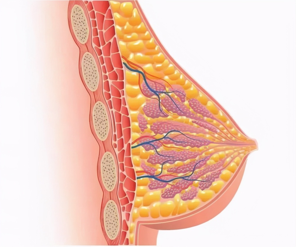 内分泌治疗可怕么,内分泌治疗从哪一年开始普及的