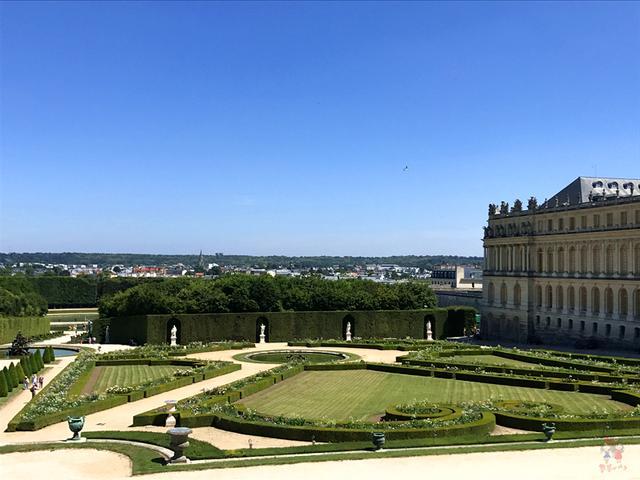 如何获奖青云计划育儿评审团,青云计划体育评审团